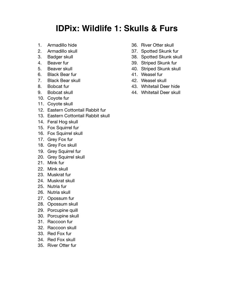 Load image into Gallery viewer, Wildlife 1: Skulls and Furs ID, IDPix Cards
