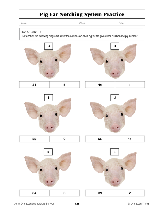 6-11 Animal ID Systems, Lesson Plan Download