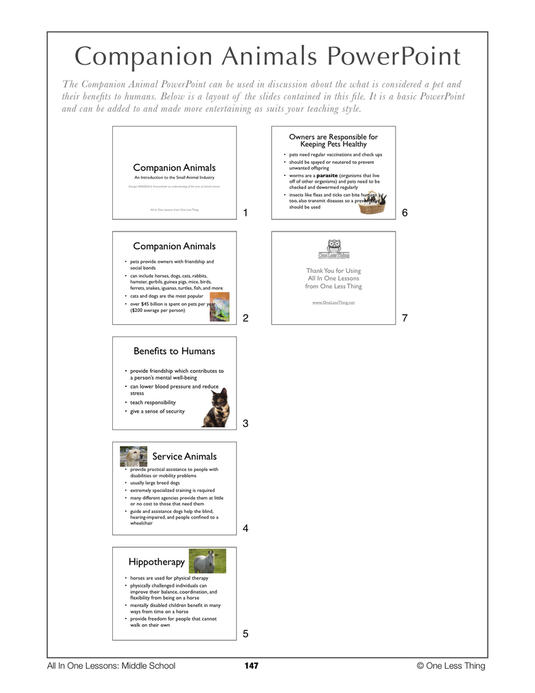 6-13 Intro to Companion Animals, Lesson Plan Download