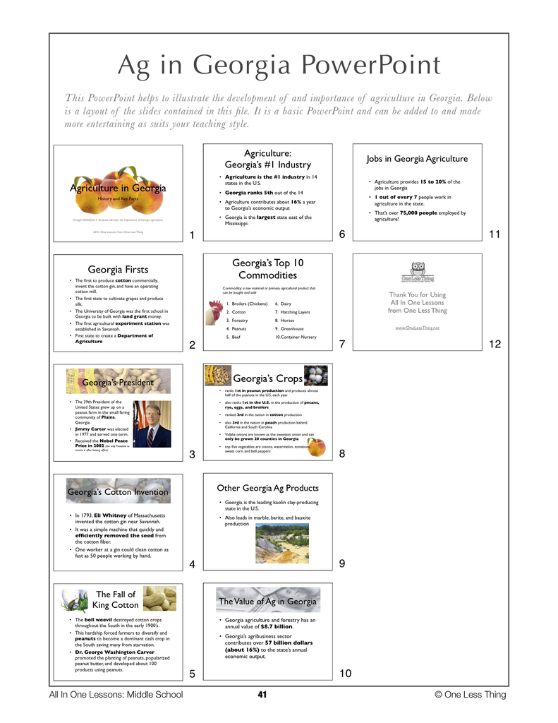 Load image into Gallery viewer, 6-04 Ag in Georgia, Lesson Plan Download
