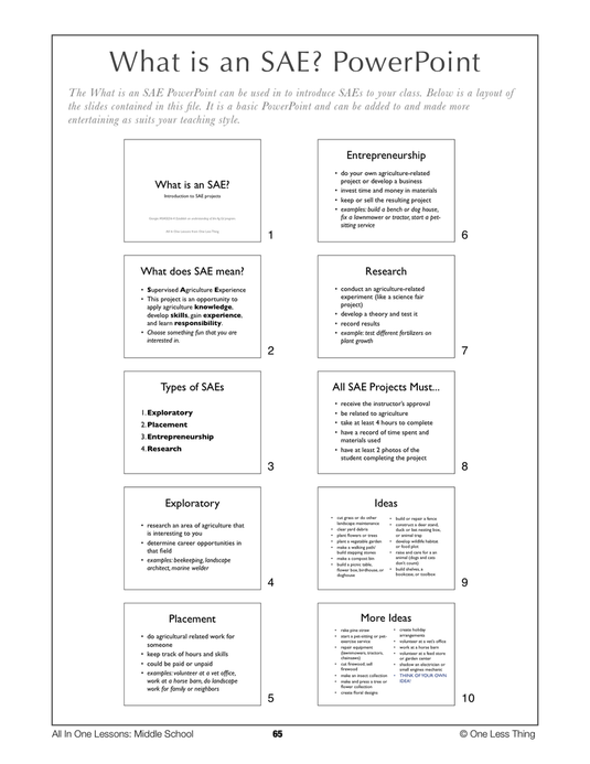 6-06 What is an SAE, Lesson Plan Download