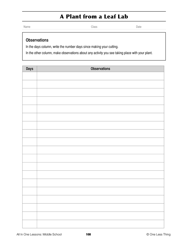 Load image into Gallery viewer, 8-10 Plant Propagation, Lesson Plan Download
