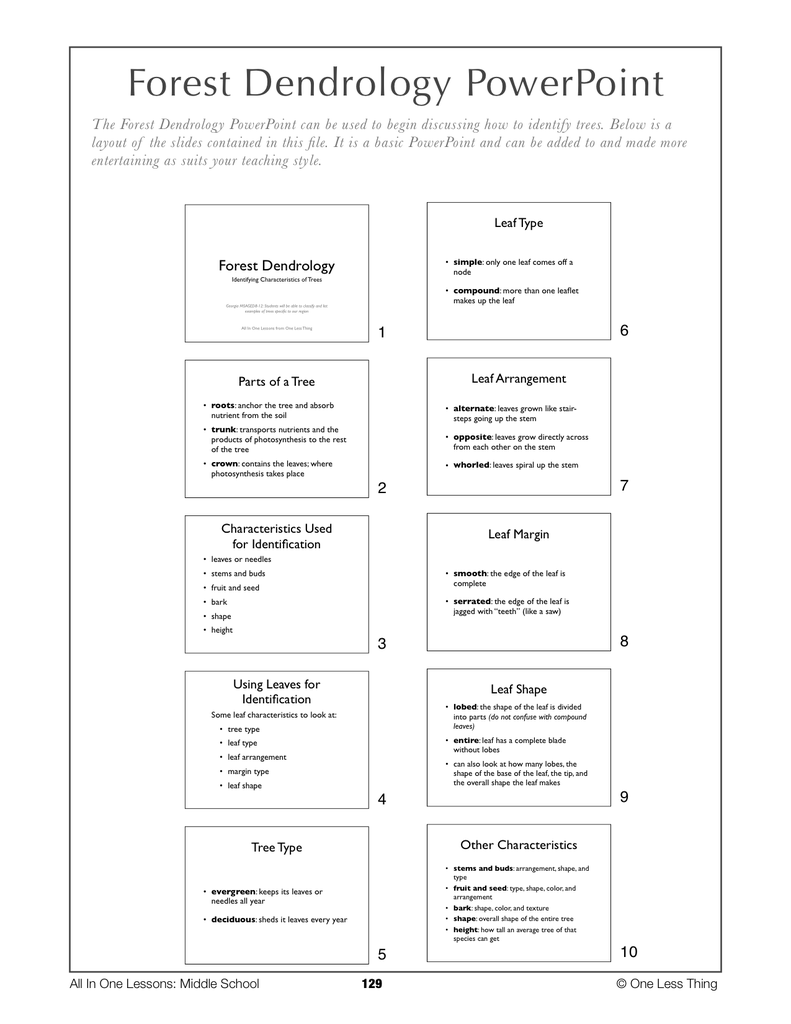 Load image into Gallery viewer, 8-13 Forest Dendrology, Lesson Plan Download
