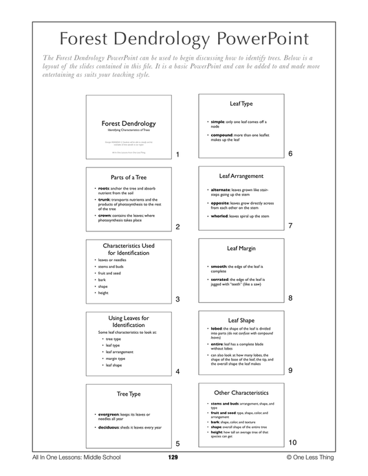 8-13 Forest Dendrology, Lesson Plan Download