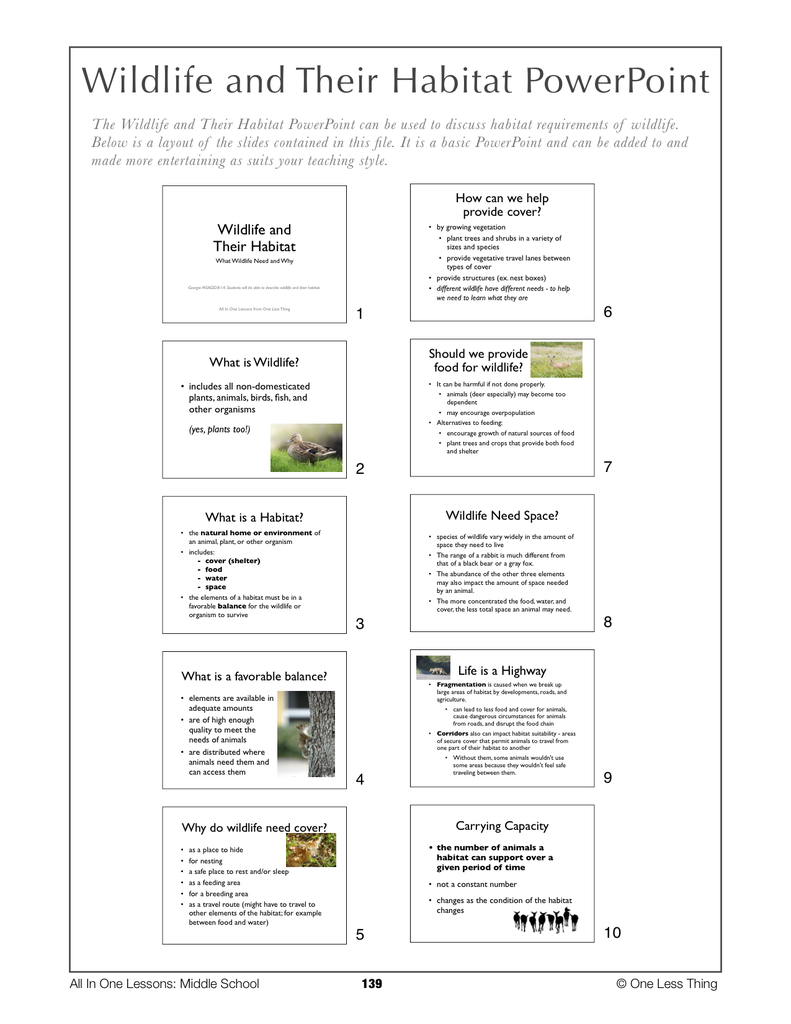 Load image into Gallery viewer, 8-14 Wildlife and Their Habitat, Lesson Plan Download
