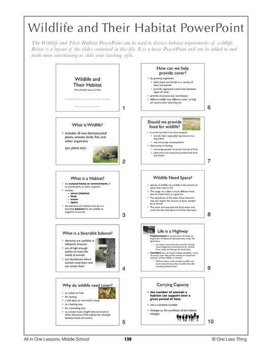 8-14 Wildlife and Their Habitat, Lesson Plan Download