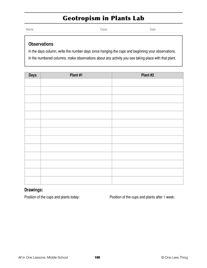 Load image into Gallery viewer, 8-09 Plant Growth, Lesson Plan Download
