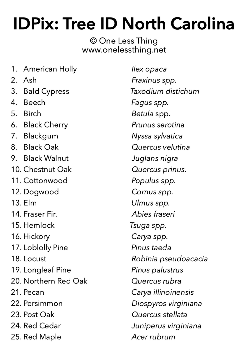 Load image into Gallery viewer, North Carolina Tree ID, IDPix Cards
