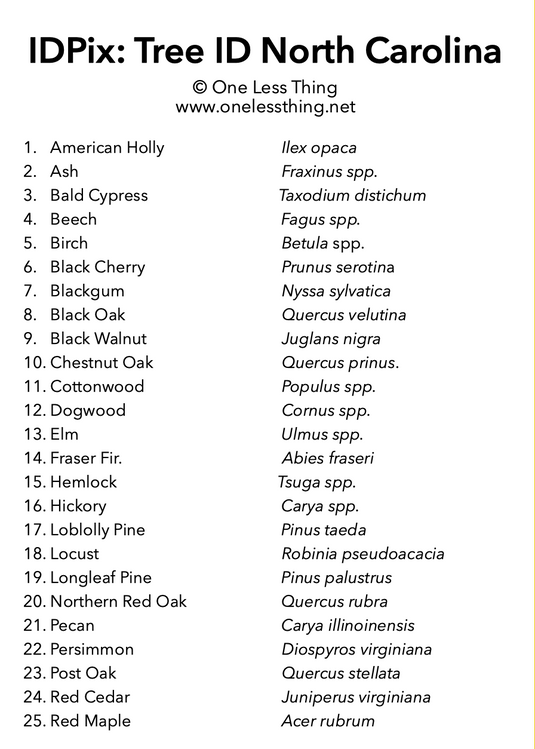 North Carolina Tree ID, IDPix Cards