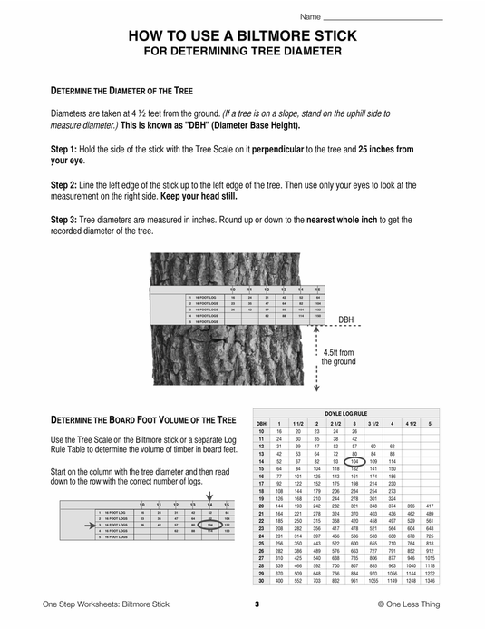 Biltmore Stick, One Step Worksheet Downloads