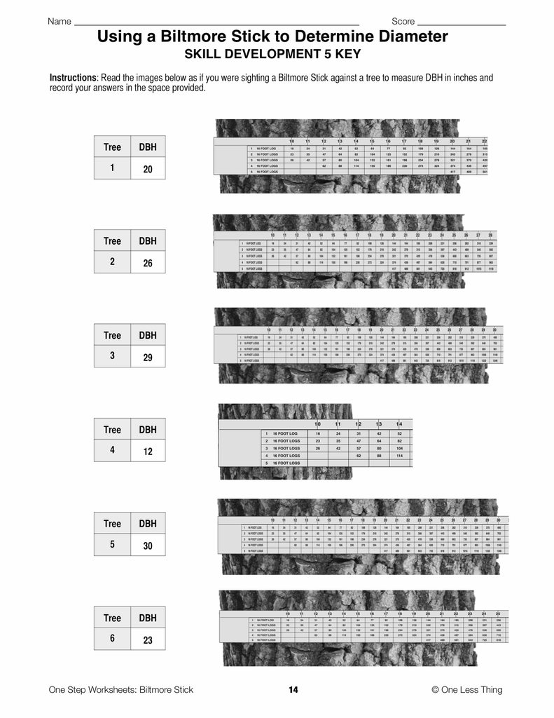 Load image into Gallery viewer, Biltmore Stick, One Step Worksheet Downloads
