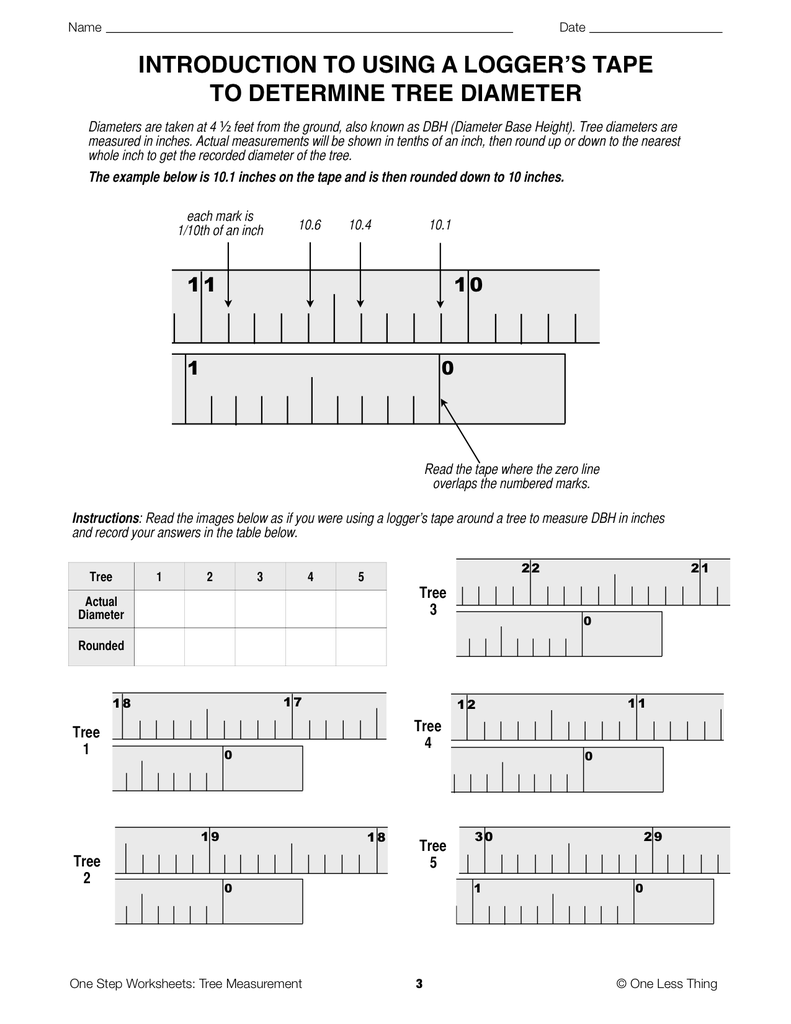 Load image into Gallery viewer, Tree Measurement, One Step Worksheet Downloads
