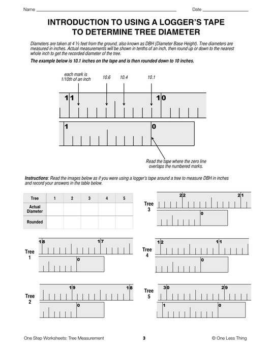 Tree Measurement, One Step Worksheet Downloads