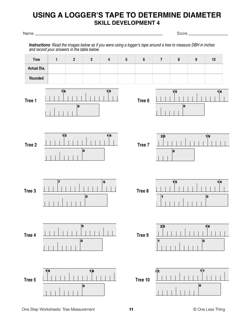 Load image into Gallery viewer, Tree Measurement, One Step Worksheet Downloads
