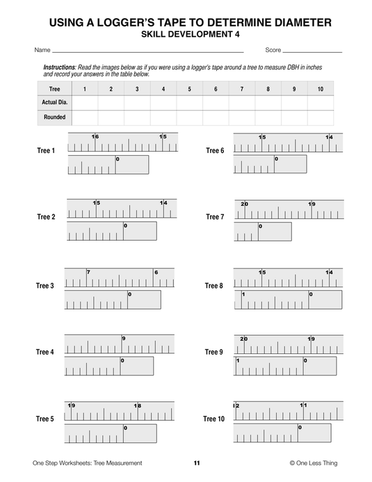 Tree Measurement, One Step Worksheet Downloads