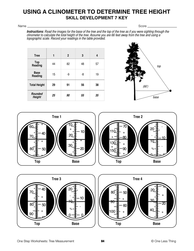 Load image into Gallery viewer, Tree Measurement, One Step Worksheet Downloads
