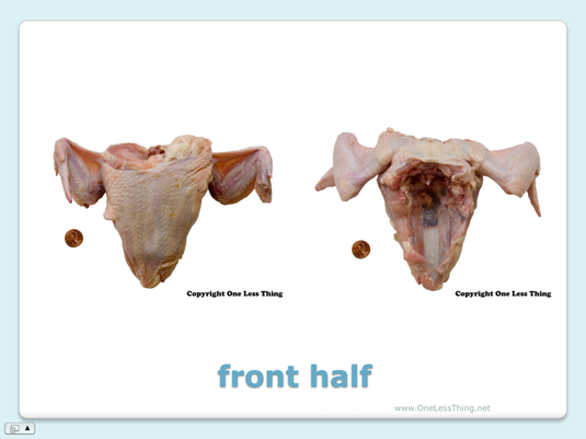 Poultry Judging Cuts ID, PowerPoint Downloads