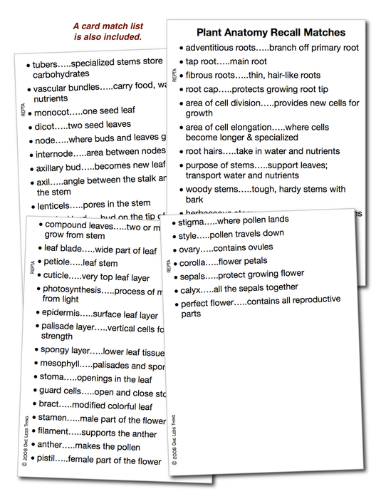 Plant Anatomy, Unit Set Download Only