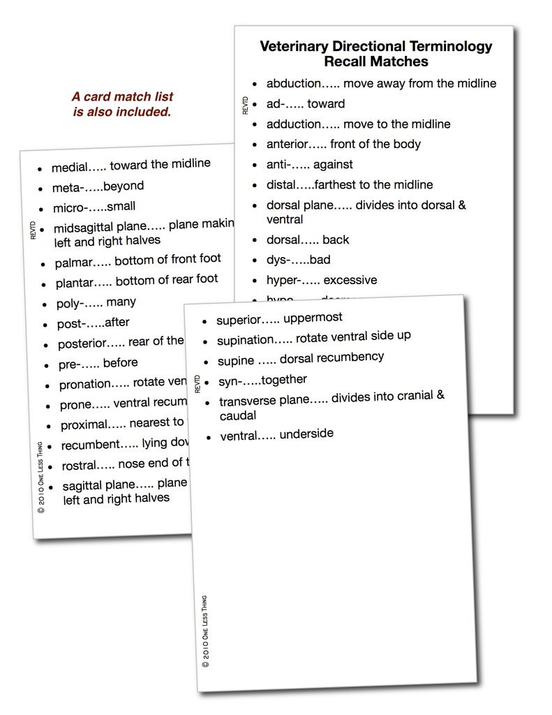 Load image into Gallery viewer, Vet Directional Terminology, Unit Set Download Only
