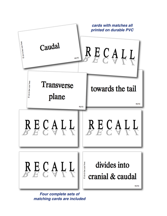 Vet Directional Terminology, Recall Download Only