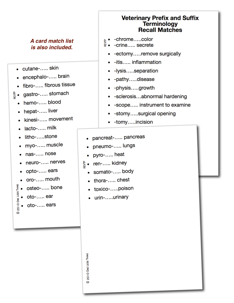 Load image into Gallery viewer, Vet Prefix and Suffix Terminology, Unit Set Download Only
