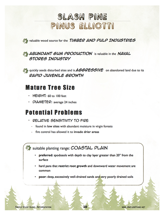 Reforestation, Simple Study Guide