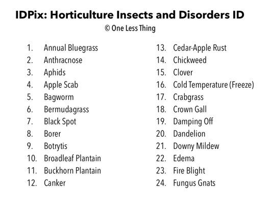 Horticulture Disorders ID, IDPix Cards