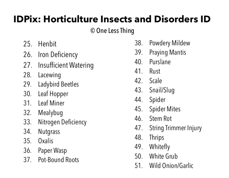 Load image into Gallery viewer, Horticulture Disorders ID, IDPix Cards
