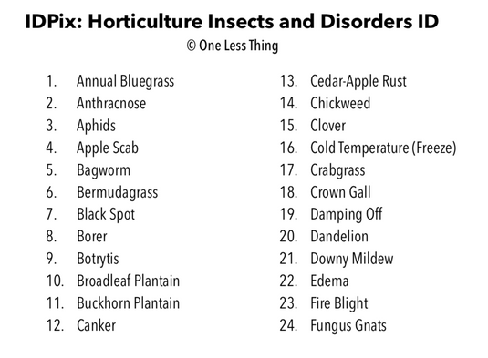 Horticulture Disorders ID, PowerPoint Downloads