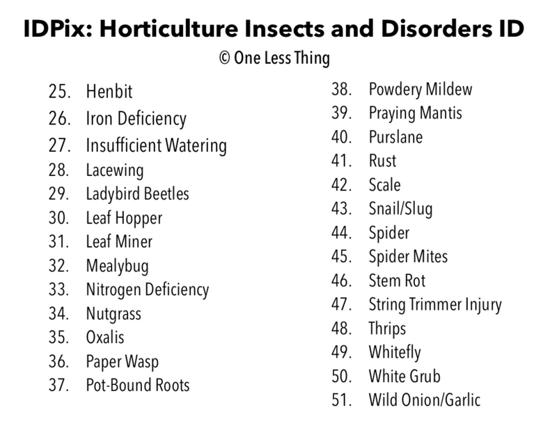 Load image into Gallery viewer, Horticulture Disorders ID, PowerPoint Downloads
