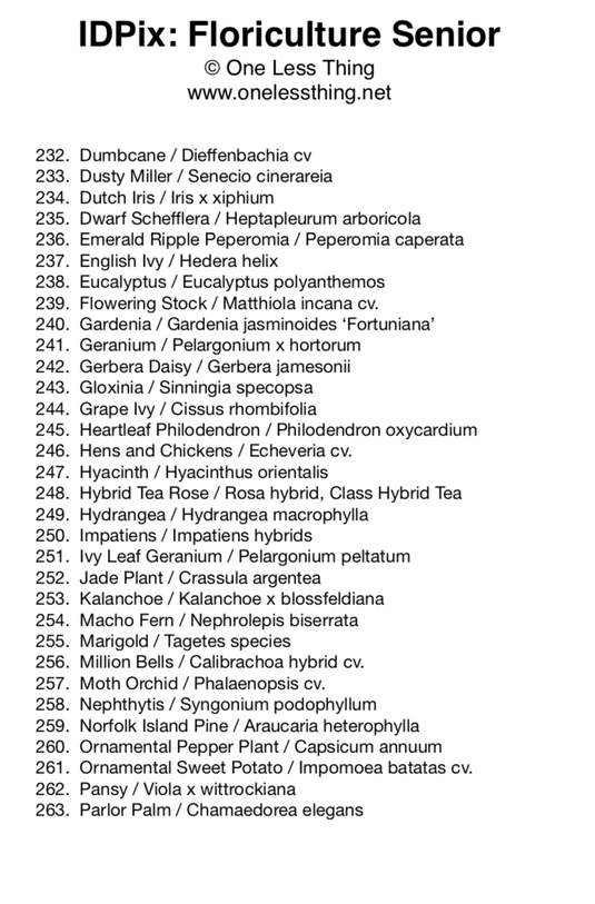 Floriculture ID Senior, IDPix Cards