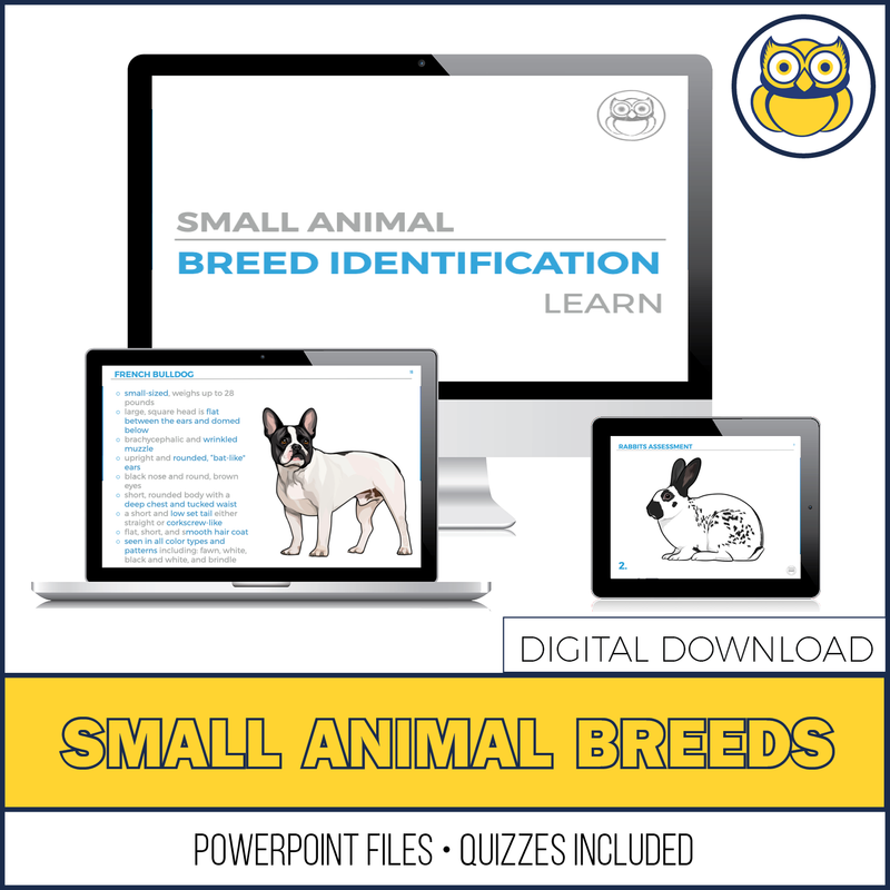 Load image into Gallery viewer, Small Animal Breed ID, PowerPoint Download
