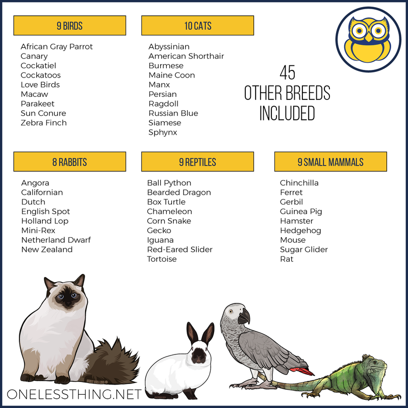 Load image into Gallery viewer, Small Animal Breed ID, PowerPoint Download
