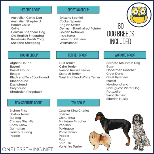 Small Animal Breed ID, Laminated Cards