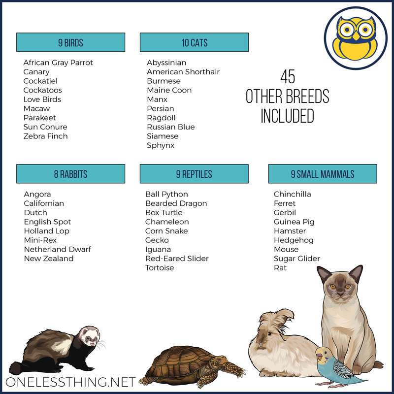 Load image into Gallery viewer, Small Animal Breed ID, Laminated Cards
