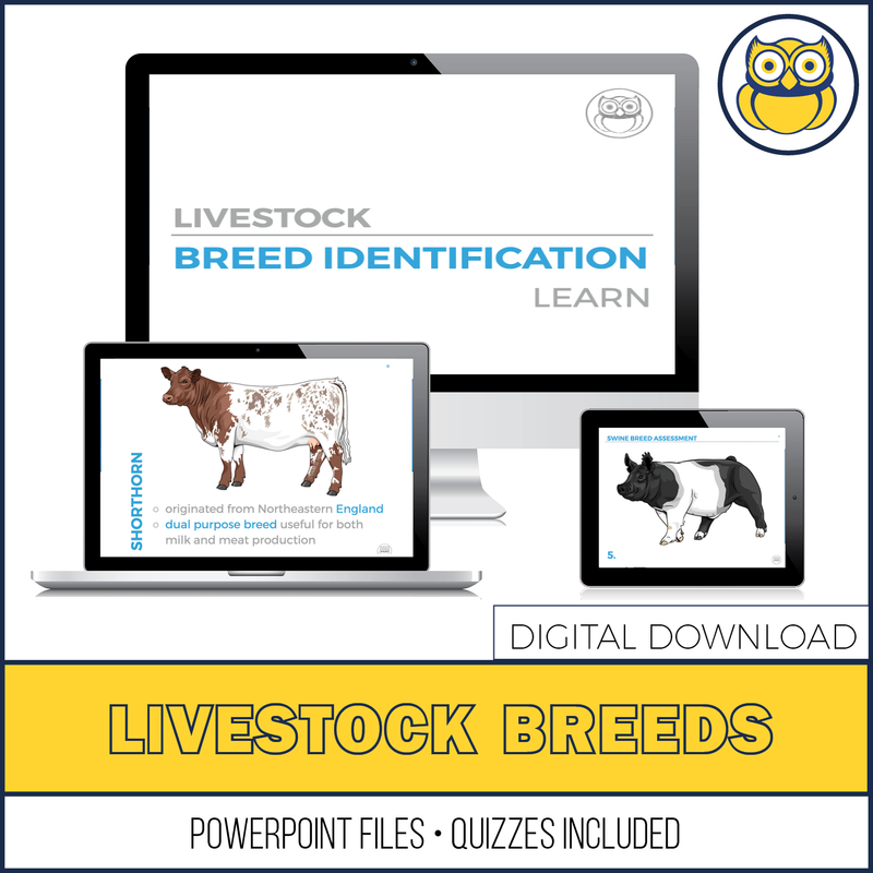 Load image into Gallery viewer, Livestock Breed ID, PowerPoint Download
