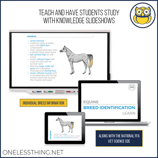 Livestock Breed ID, PowerPoint Download