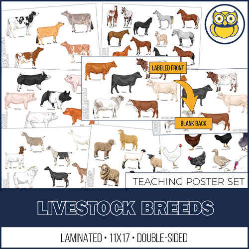 Livestock Breeds Posters, Set of 7