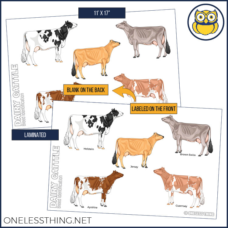 Load image into Gallery viewer, Livestock Breeds Posters, Set of 7
