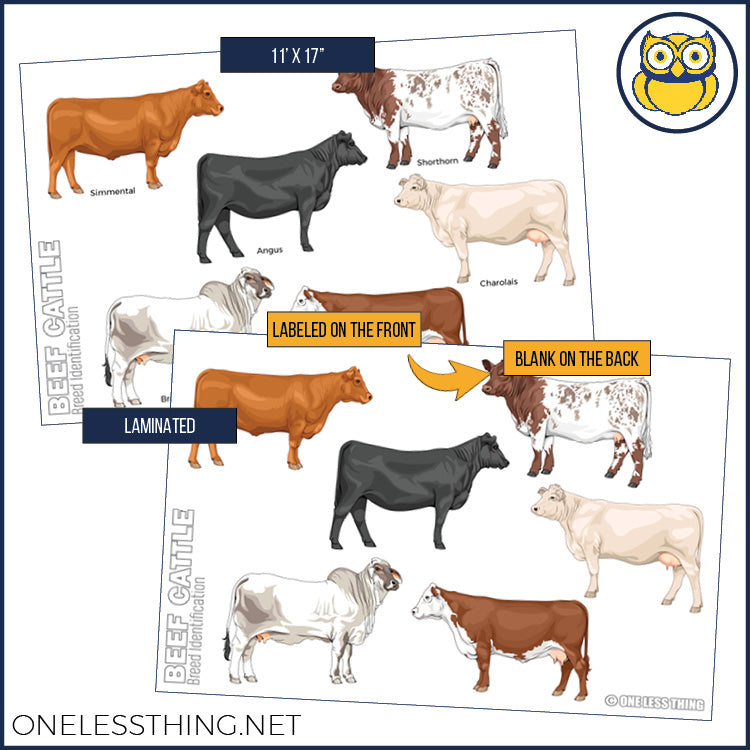 Load image into Gallery viewer, Livestock Breeds Posters, Set of 7
