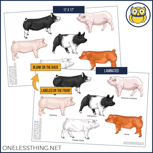 Livestock Breeds Posters, Set of 7