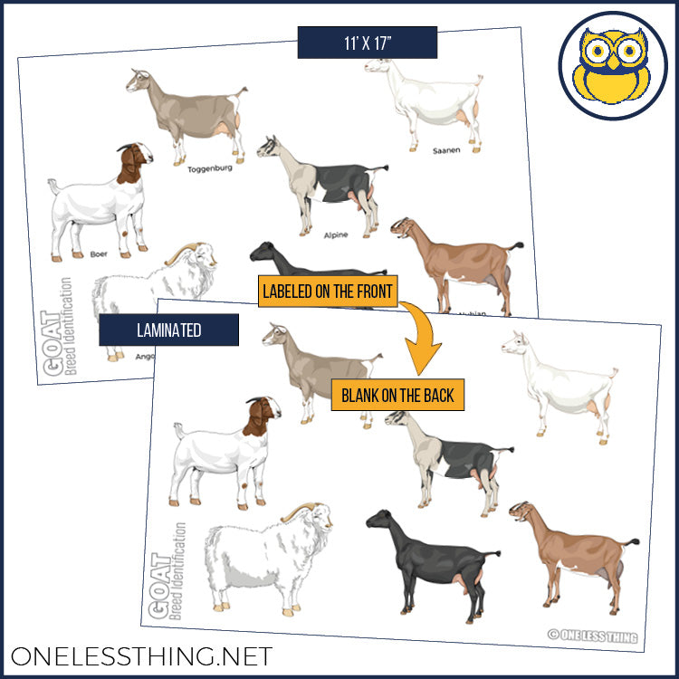 Load image into Gallery viewer, Livestock Breeds Posters, Set of 7
