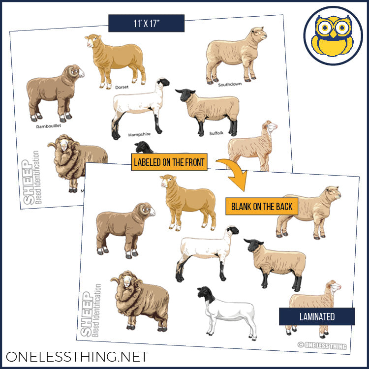 Load image into Gallery viewer, Livestock Breeds Posters, Set of 7
