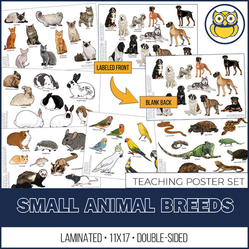 Small Animal Breeds Posters, Set of 12