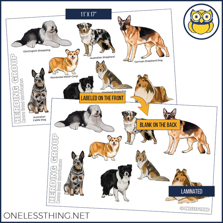 Load image into Gallery viewer, Small Animal Breeds Posters, Set of 12
