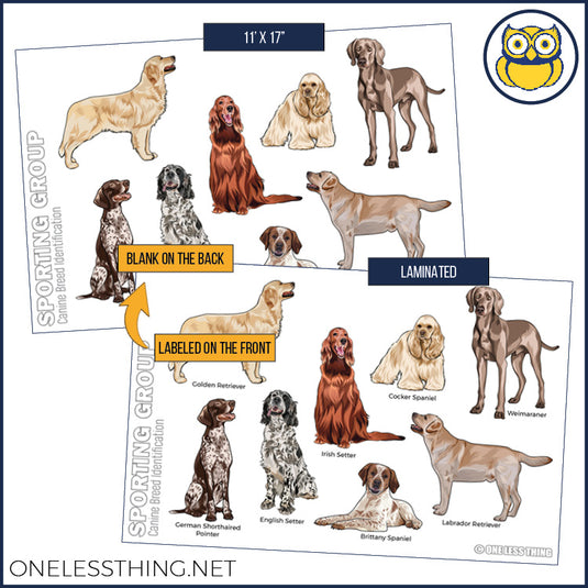 Small Animal Breeds Posters, Set of 12