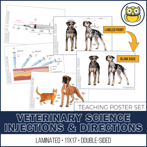 Vet Science Injections and Directions Posters, Set of 4