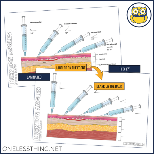 Vet Science Injections and Directions Posters, Set of 4