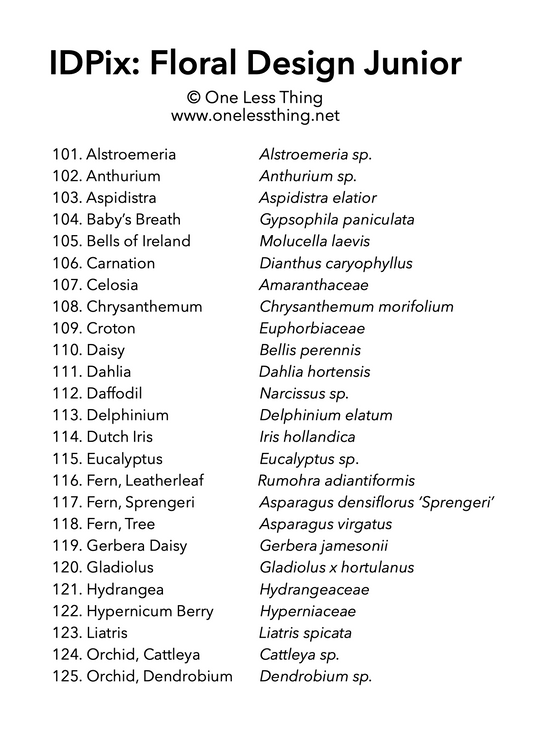 Floral Design ID Junior, IDPix Cards